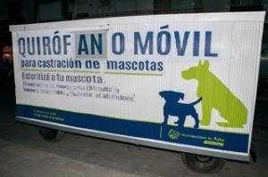 Vacunación de felinos y caninos en barrio Rucci